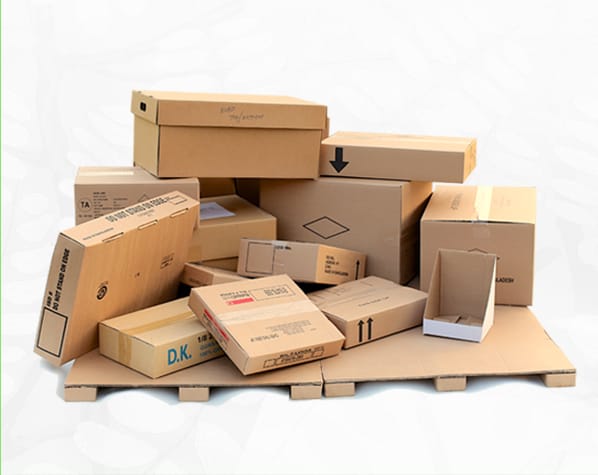 Maintenance & Support